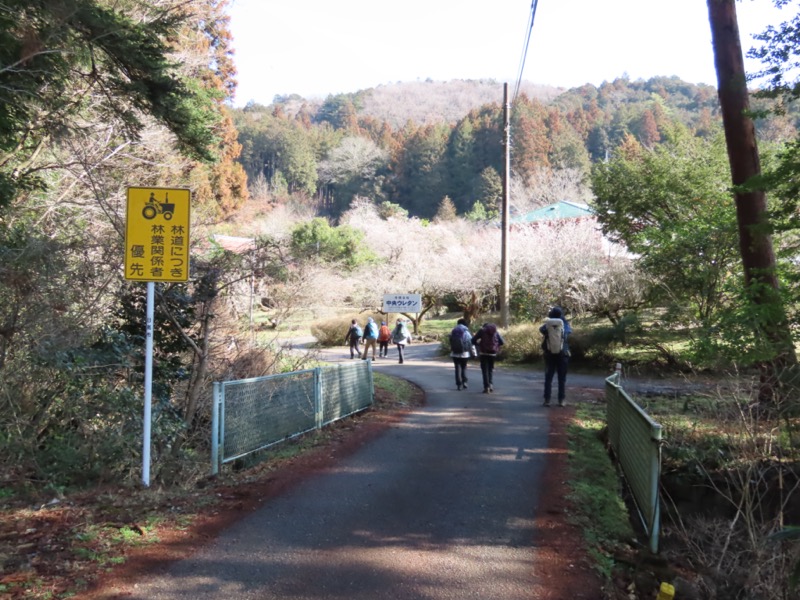 日和田山、物見山